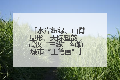 水岸织绿、山脊显形、天际塑韵，武汉“三线”勾勒城市“工笔画”